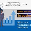 What are financiers in business