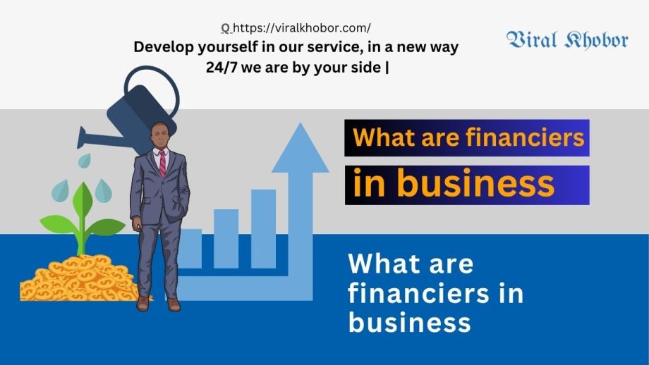 What are financiers in business